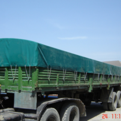 Tir003