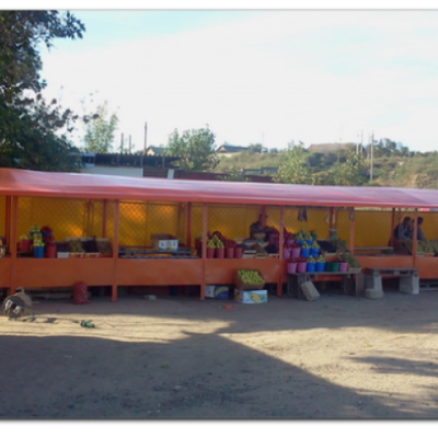 Tent 019